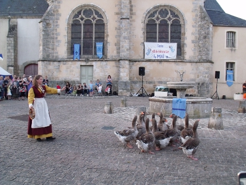 Fête Médiévale 2017 de Fontenay-Trésigny